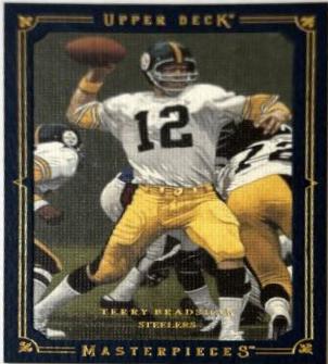 Terry Bradshaw [Framed Blue] #82