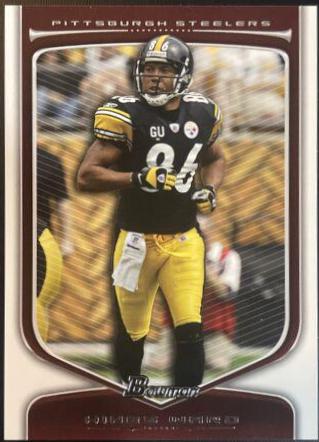 Hines Ward #94