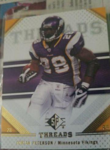 Adrian Peterson #2