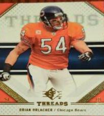 Brian Urlacher #13