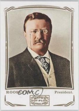 Theodore Roosevelt #106