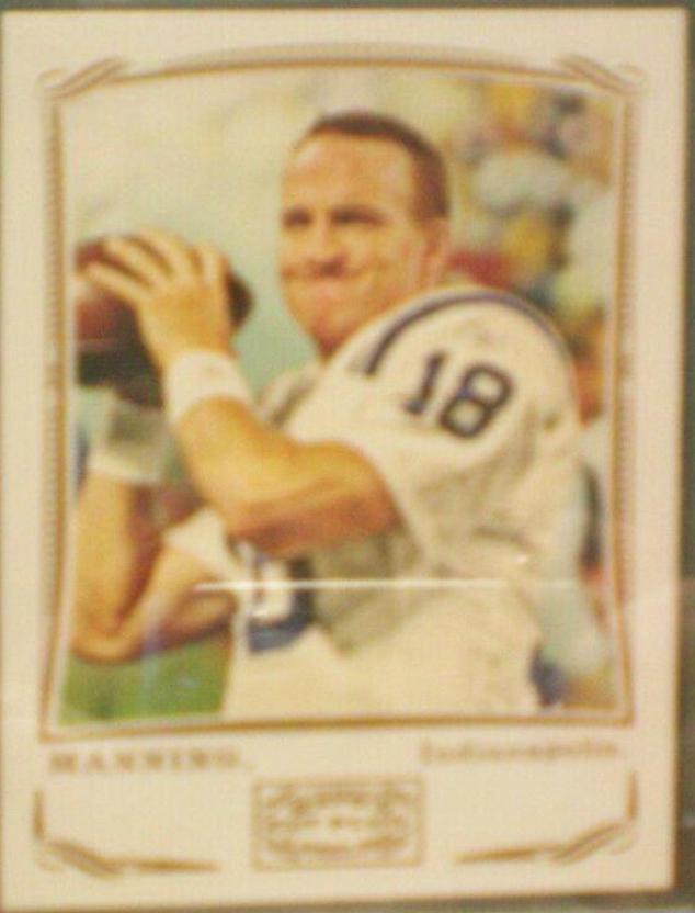 Peyton Manning #211