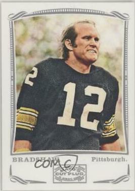 Terry Bradshaw #252