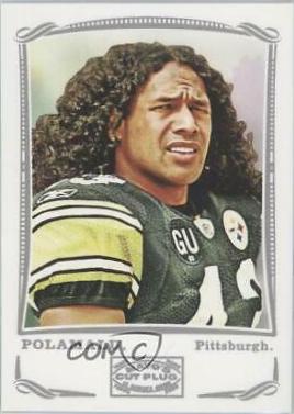 Troy Polamalu [Silver] #263