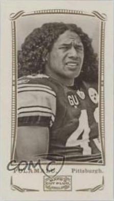 Troy Polamalu #263