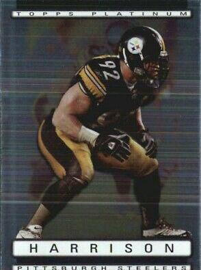 James Harrison #94
