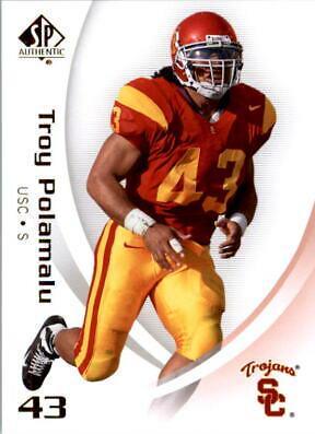 Troy Polamalu #96