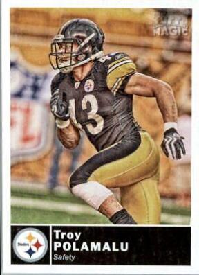 Troy Polamalu #112