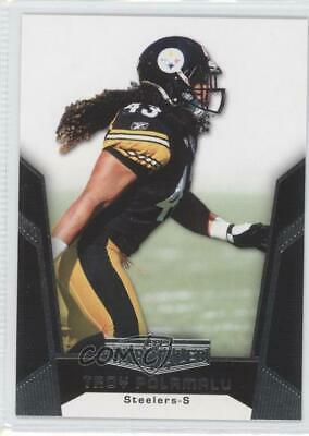 Troy Polamalu #24