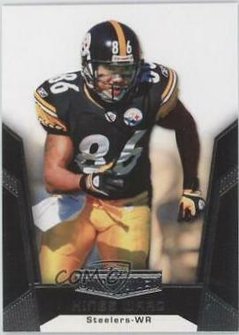 Hines Ward #46