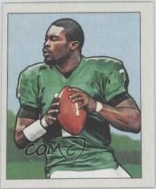 Michael Vick #25