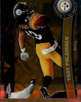Troy Polamalu #180