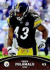Troy Polamalu #100
