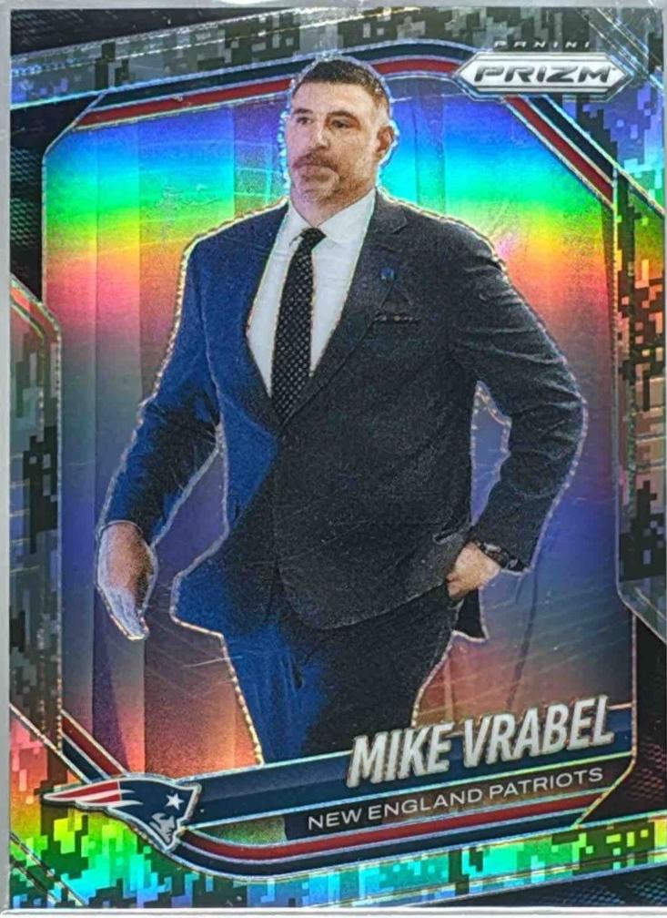 Mike Vrabel [Forest Camo] #110