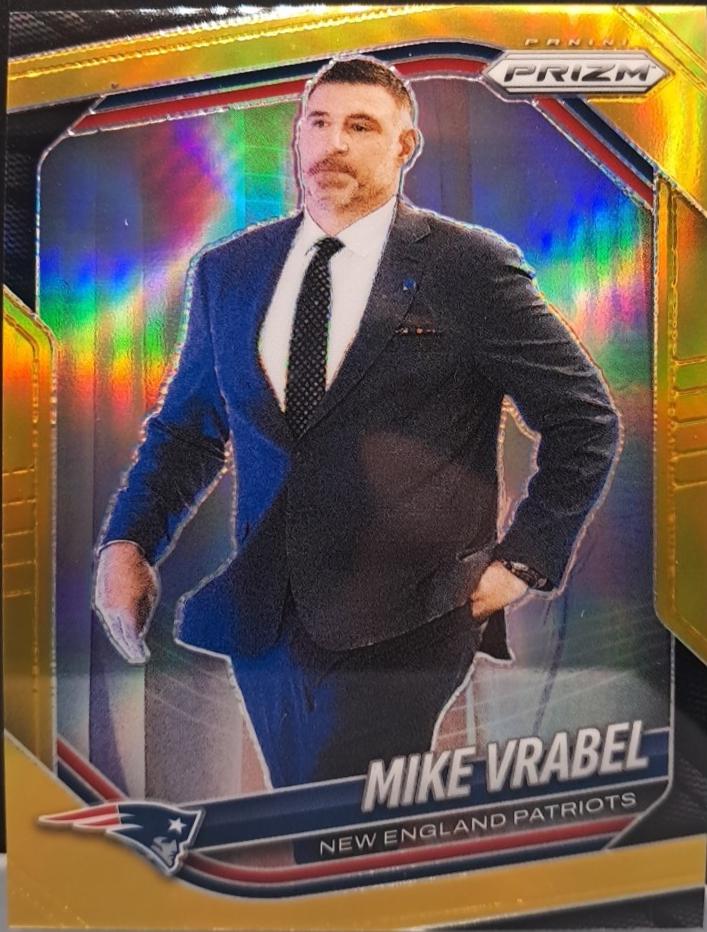 Mike Vrabel [Gold] #110