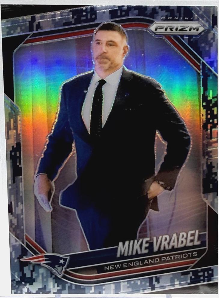 Mike Vrabel [Navy Camo] #110
