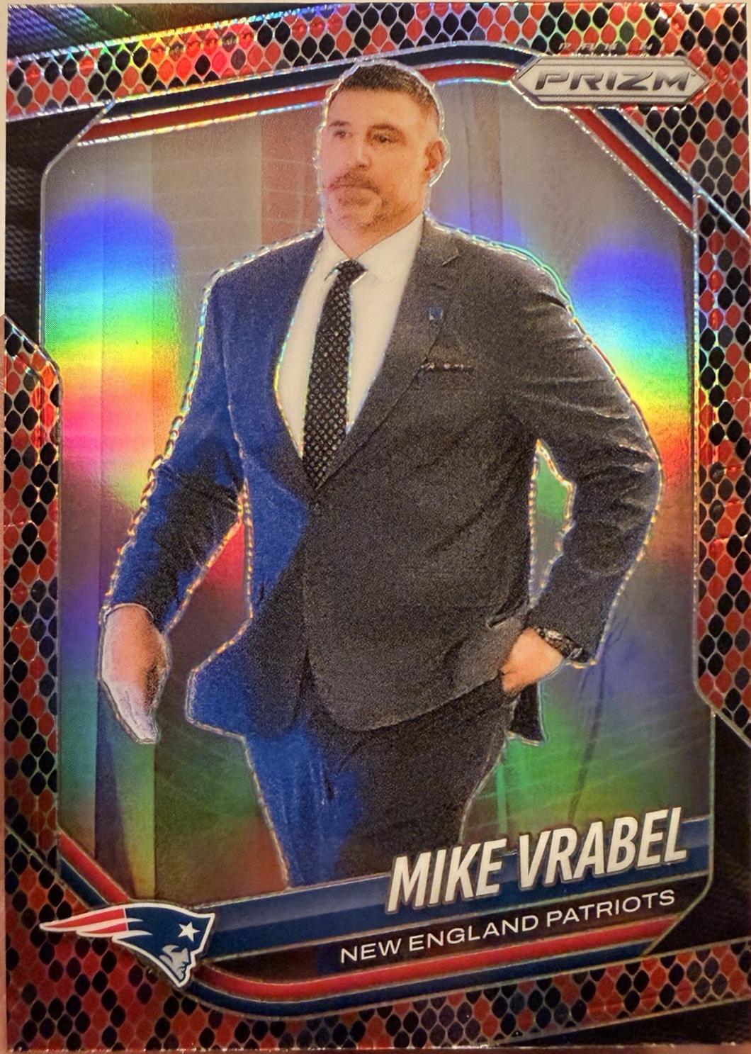 Mike Vrabel [Snakeskin] #110