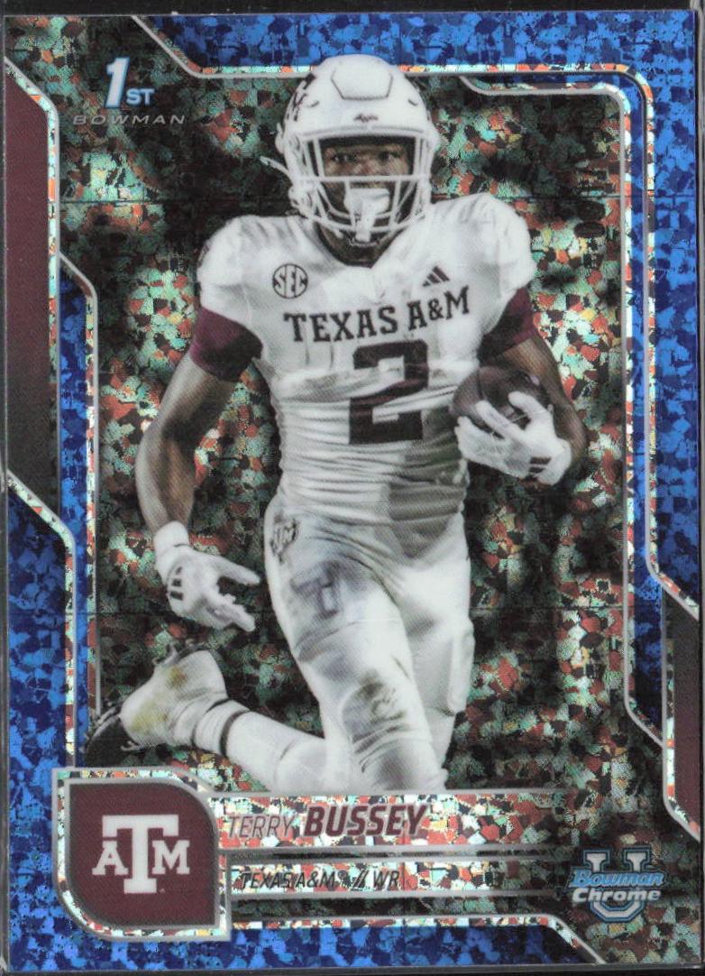 Terry Bussey [Blue Mini-Diamond Refractor] #89