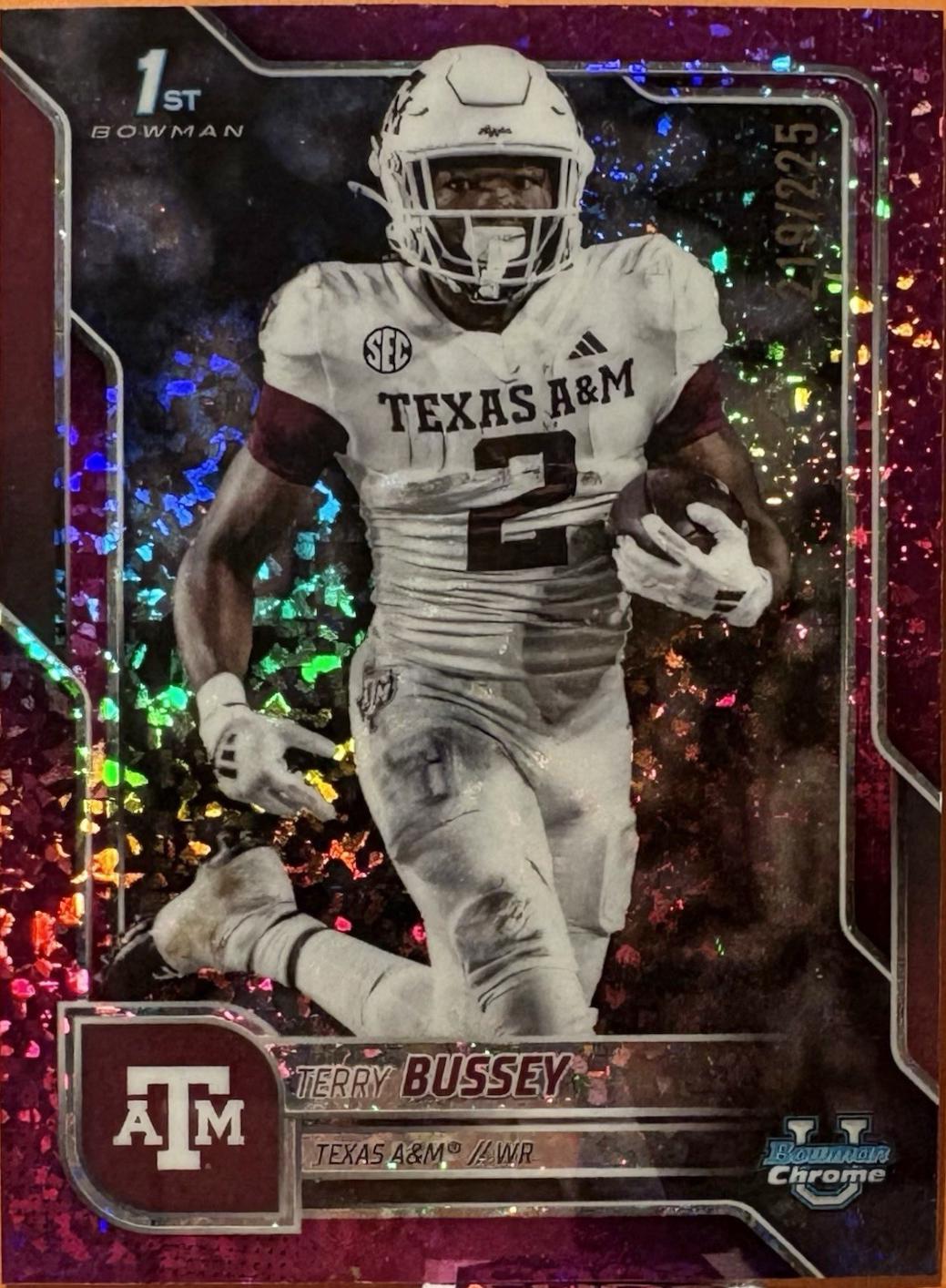 Terry Bussey [Fuchsia Mini-Diamond Refractor] #89