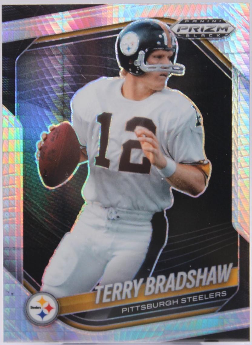 Terry Bradshaw [Silver] #123