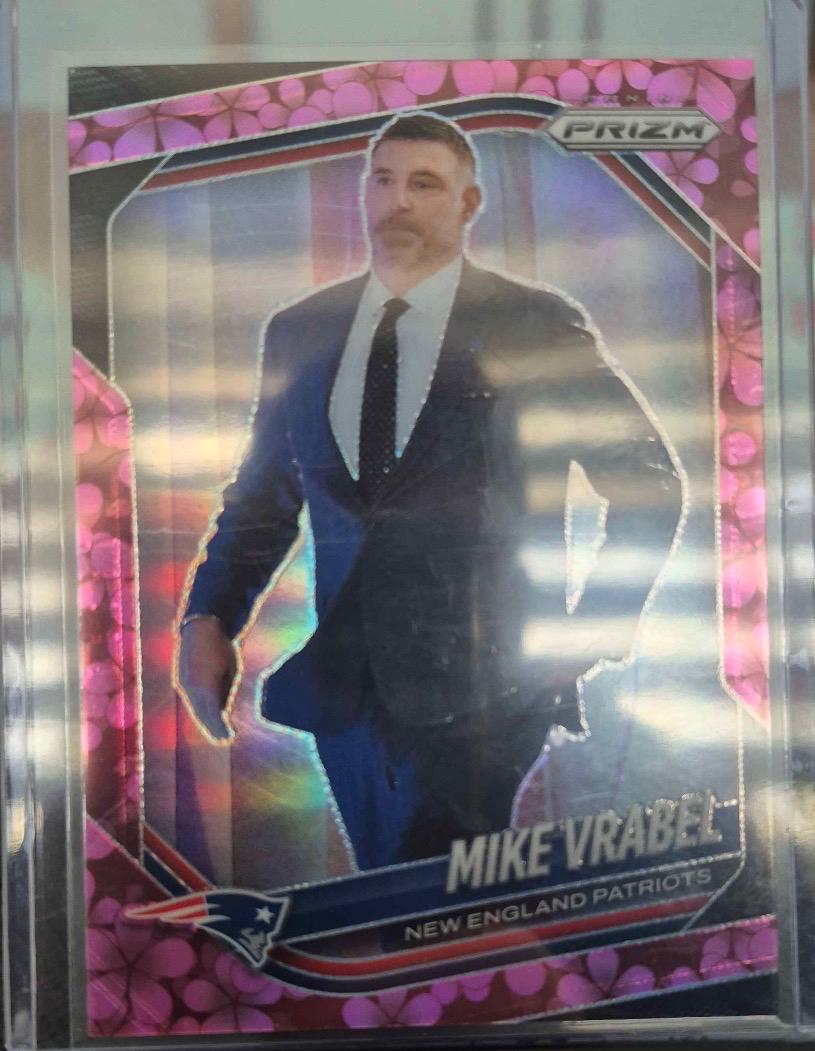 Mike Vrabel [Plum Blossom] #110