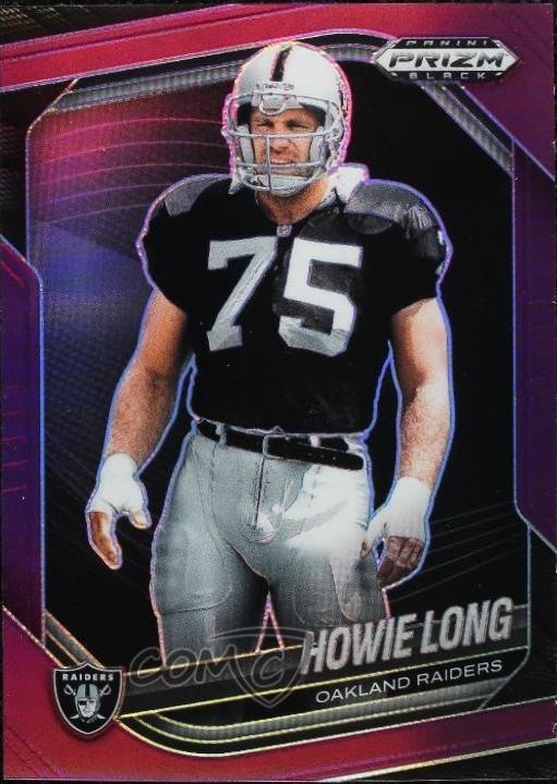 Howie Long [Purple] #110