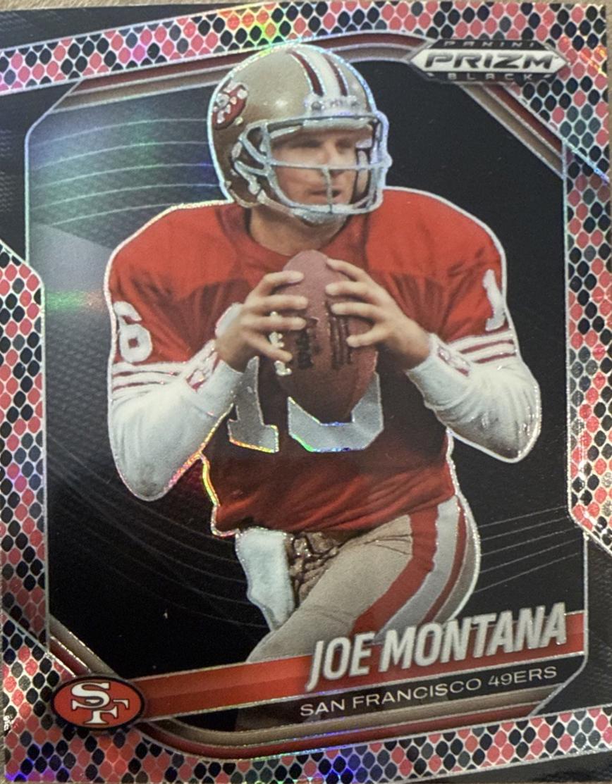 Joe Montana [Snakeskin] #130