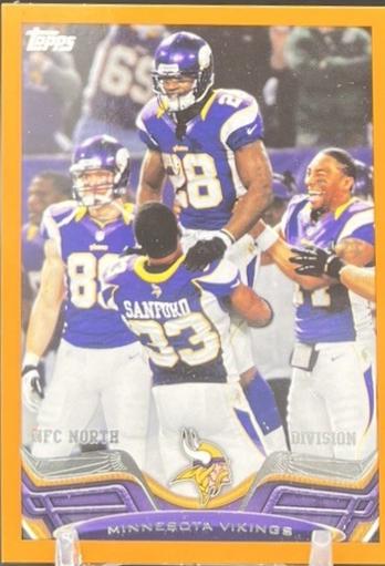 Minnesota Vikings [Orange] #169