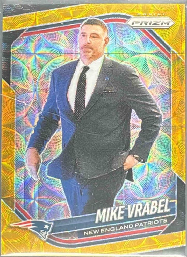 Mike Vrabel [Gold] #110