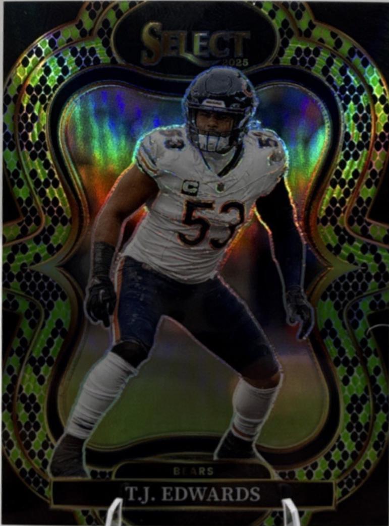 T.J. Edwards [Green Black Snakeskin Prizm] #373