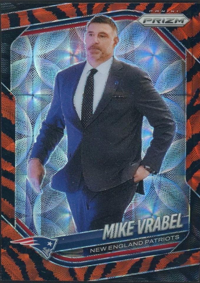 Mike Vrabel [Tiger Stripe] #110