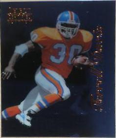 Terrell Davis [Blue] #41