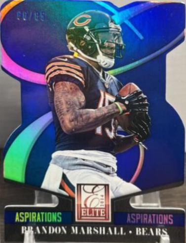 Brandon Marshall [Aspirations Die Cut] #17