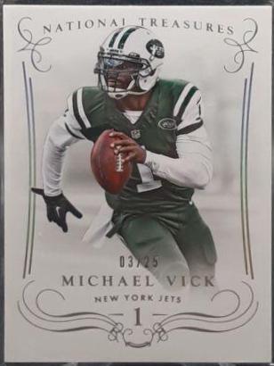 Michael Vick [Century Silver] #47