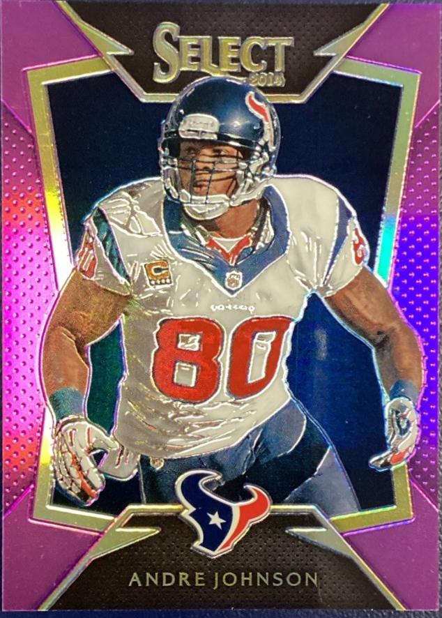 Andre Johnson [Purple Prizm] #10