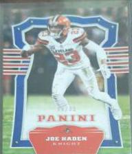 Joe Haden #13