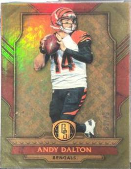 Andy Dalton #102