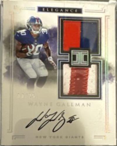Wayne Gallman [Helmet, Nameplate Autograph] #137