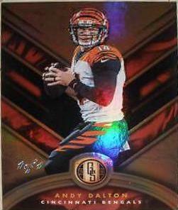 Andy Dalton #79