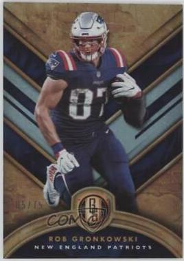 Rob Gronkowski [Platinum] #39