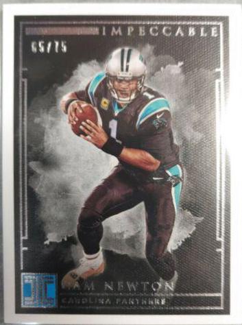 Cam Newton #78