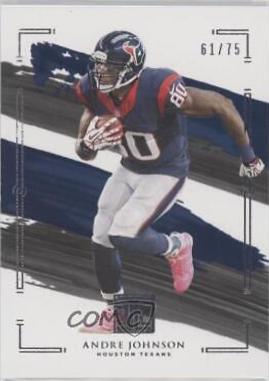 Andre Johnson #41