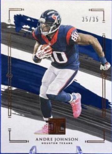 Andre Johnson [Gold] #41