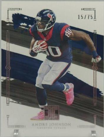Andre Johnson [Silver] #41