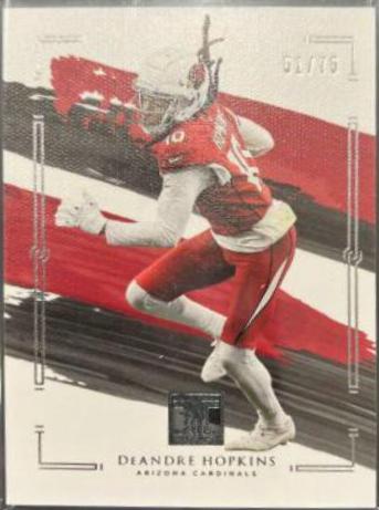 DeAndre Hopkins #2