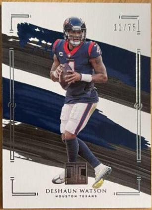 Deshaun Watson #40