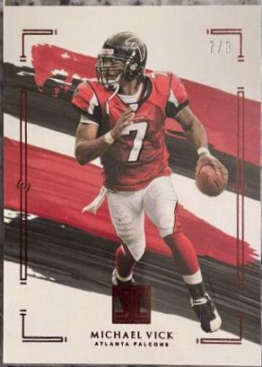 Michael Vick #6