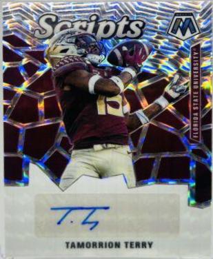 Tamorrion Terry #SM-TT