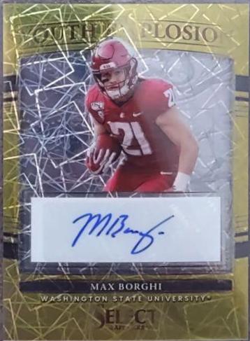 Max Borghi [Gold Lazer] #YE-MBO