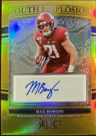 Max Borghi [Gold] #YE-MBO
